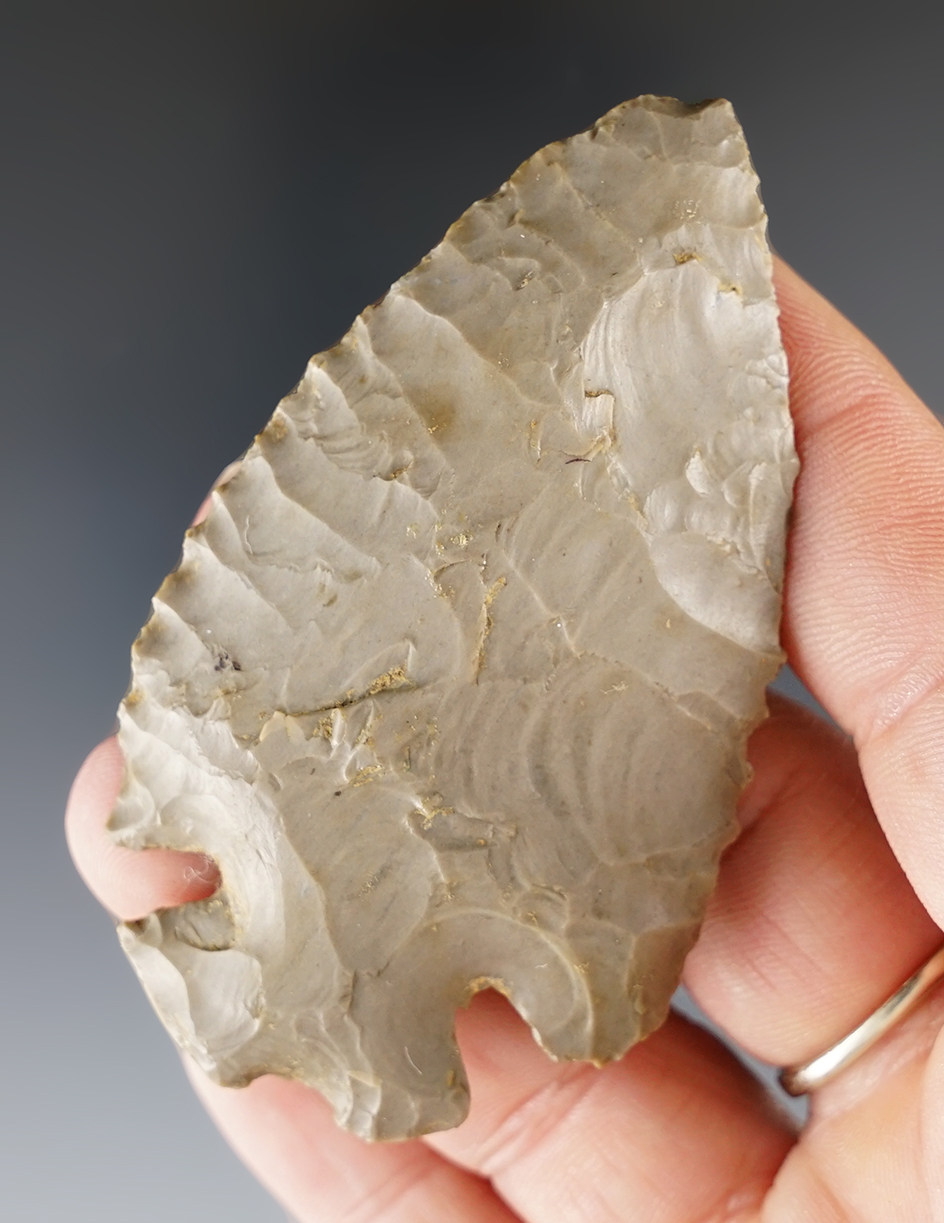 2 7/8" Notch Base Dovetail found in Kentucky. Nice edgework and lightly serrated.