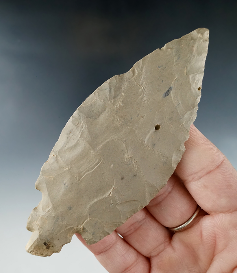 4 5/16" hornstone turkeytail found in northern Kentucky. Ex. Jerry Dickey.