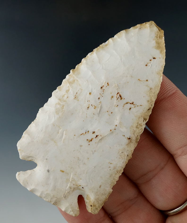 Nice edge serrations on this 2 7/8" cornernotch found by Don Ruzicka in Jefferson Co., MO.