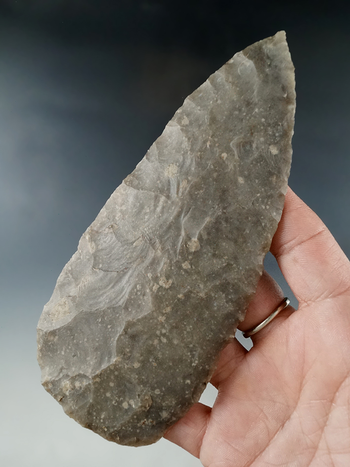 Ex. Museum! Large and well made 5 5/8" Covington blade found in Texas.