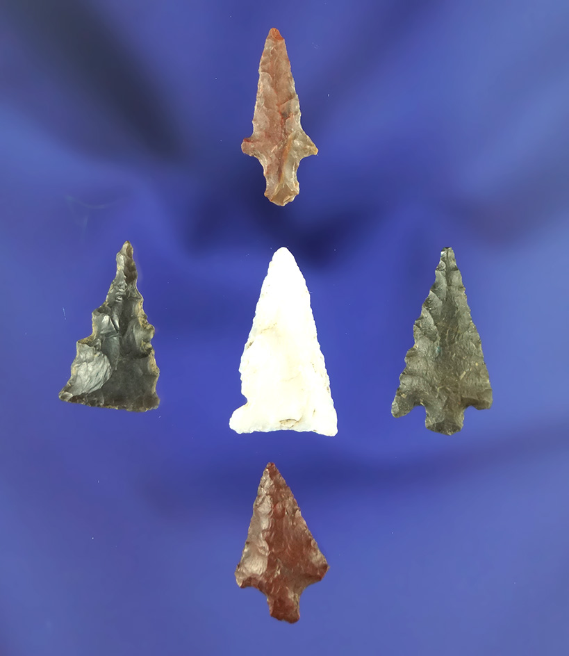 Set of five assorted arrowheads found near the Columbia River , largest is 7/8".