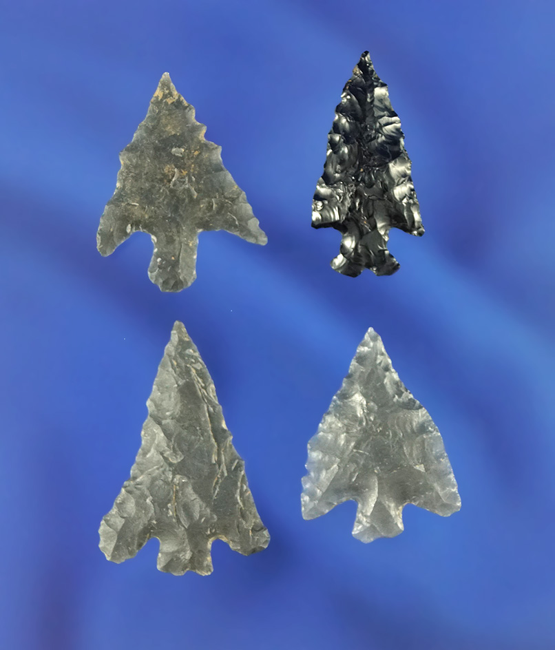 Set of four very well styled obsidian arrowheads found near the Columbia River, largest is 1 1/16".