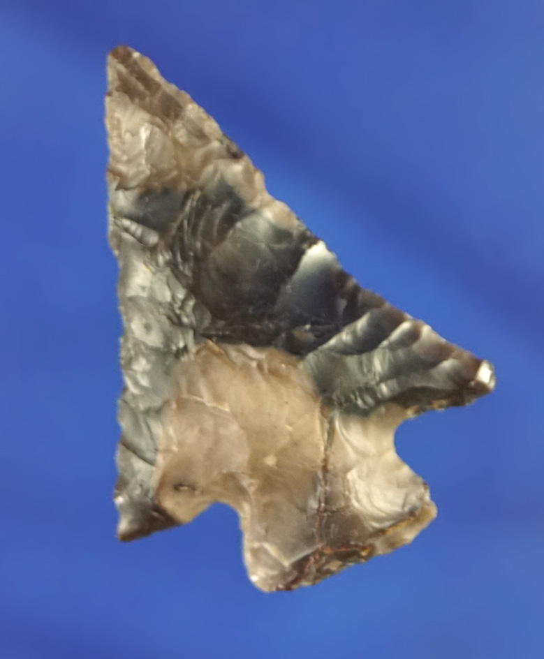 1 3/8" Hells Canyon Cornernotch found near Priest Rapids by the Columbia River. Ex. M. Shepherd.