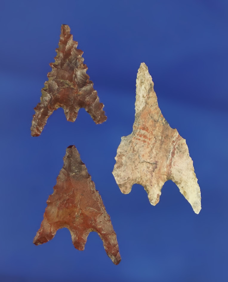 Set of three Rogue River points found in southern Oregon in Jackson Co., . Largest is 1 1/4".