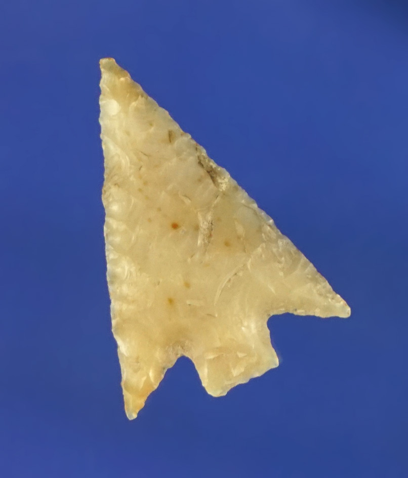 13/16" thin and well flaked Gempoint found near the Columbia River by Dale "Doc" Powers