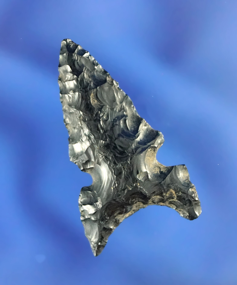 1 1/2" Northern Sidenotch Fox ear variety made from nicely patinated obsidian found in Oregon.