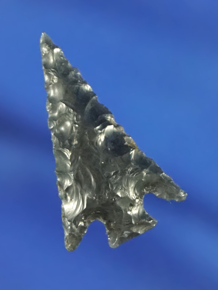 7/8" nicely styled obsidian Columbia Plateau.