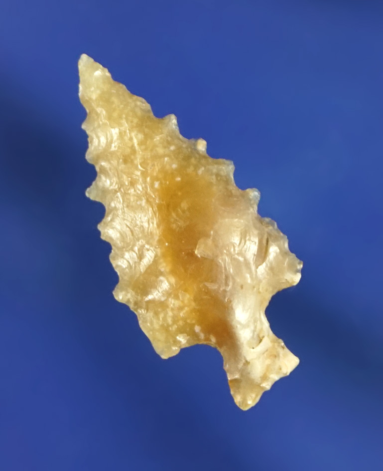 Highly serrated 1 1/16" Stemmed arrowhead found near the Columbia River - beautiful material.