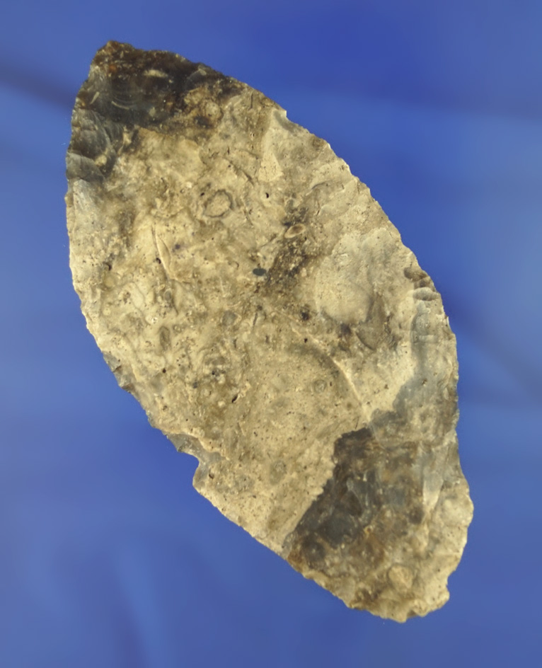 Heavily patinated 3 15/16" Cascade Blade found near the Columbia River.