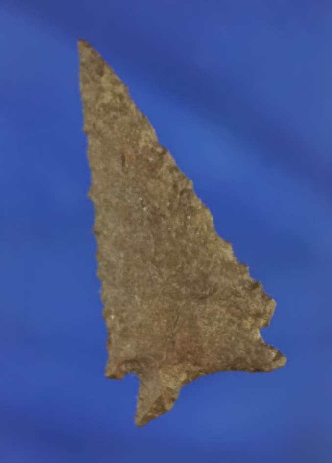 1 7/16" Elko Eared made from nicely patinated brown Jasper found in Oregon.