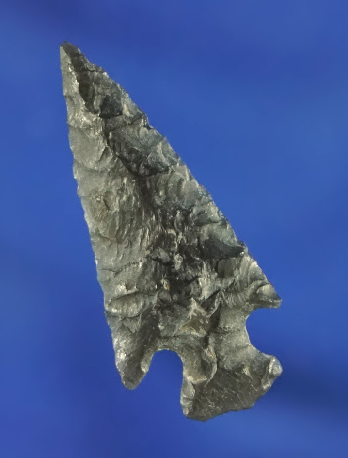 1 1/8" Rose Springs that is thin and nicely made found in Oregon.