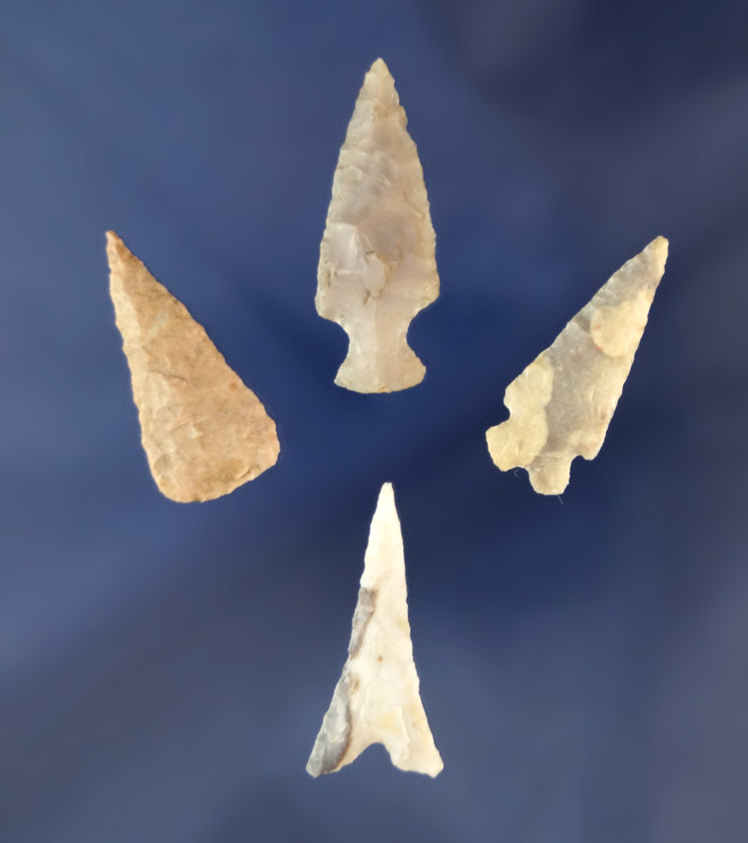 Four nice Southwestern U. S. Arrowheads, largest is 1 5/16".