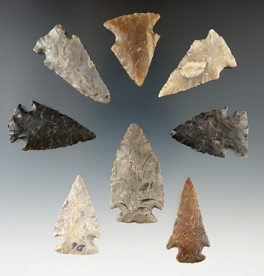 Ex. Museum! Group of 8 Williams Points found in Texas, largest is 2".