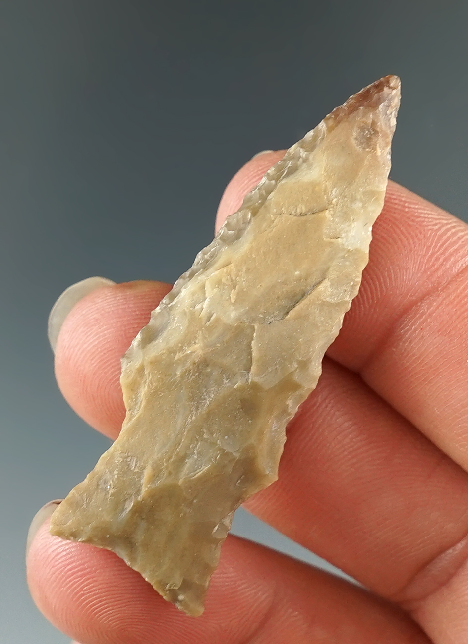 2 1/16" Darl found in Temple, Texas by Cas Jamroz.