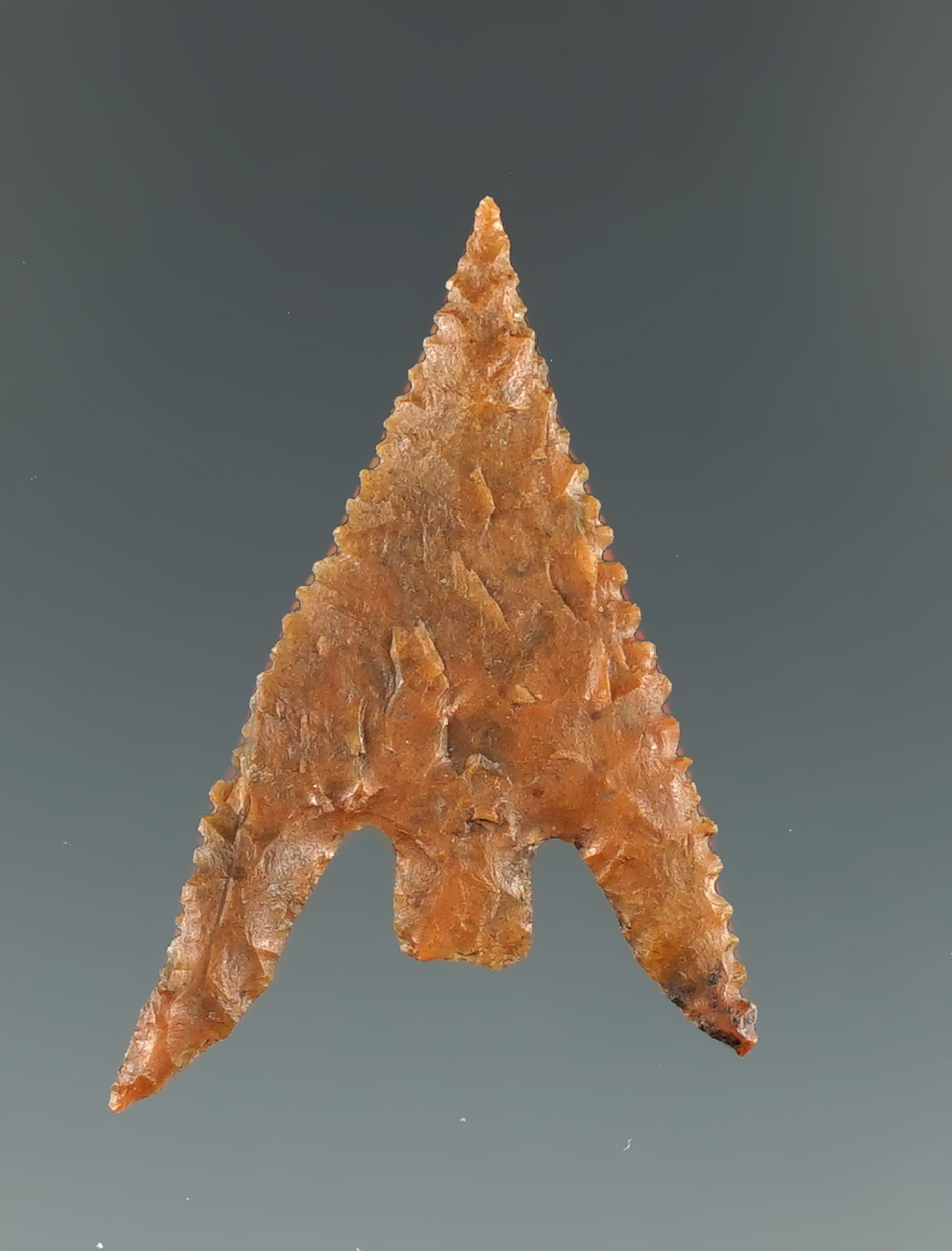 1 3/8" Gunther (Rogue River Variety) made from beautiful Jasper. Jackson Co., Oregon. COAs.