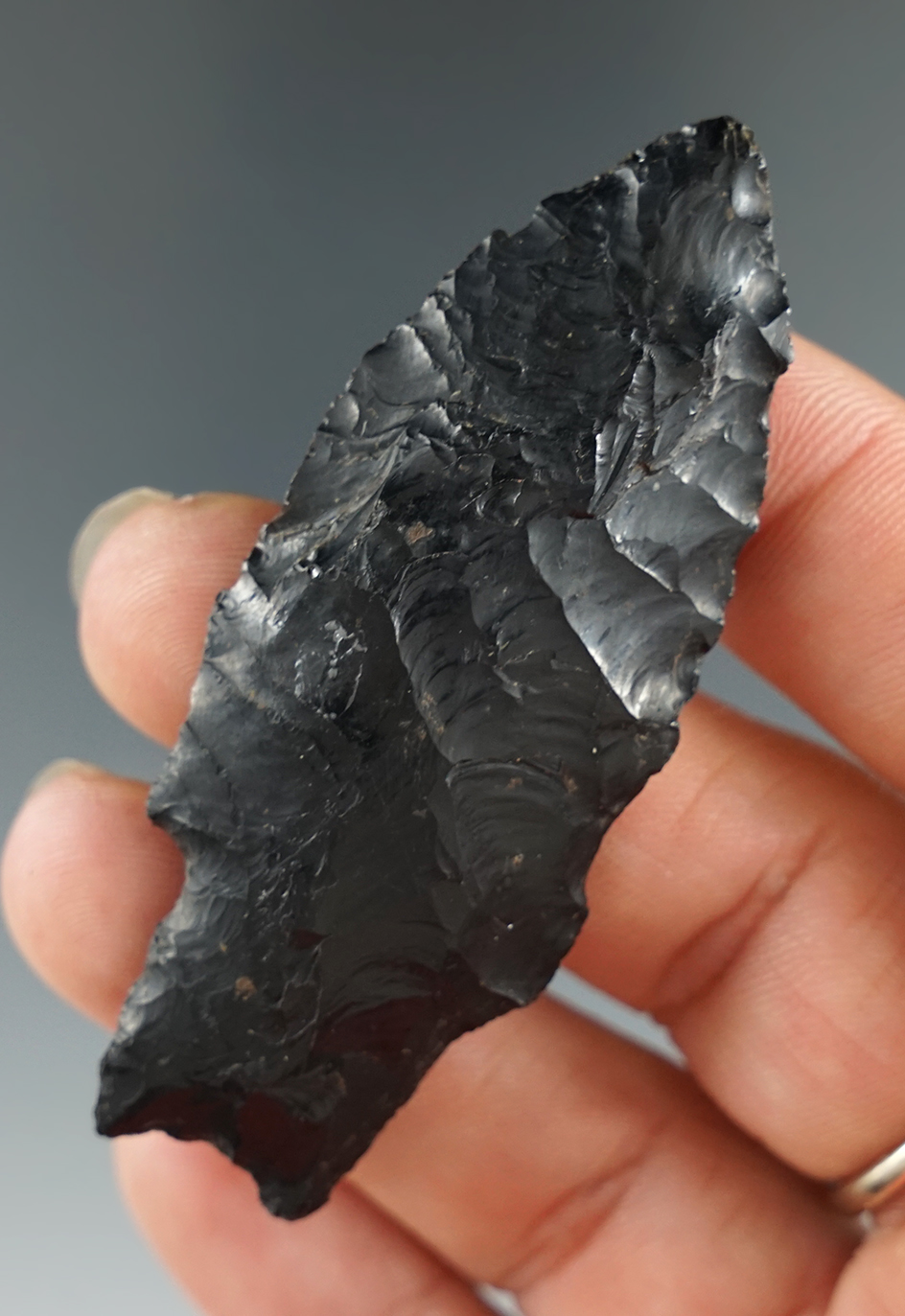 2 5/8" Paleo Windust made from Obsidian. Found in Klamath Falls, Oregon. Pictured. Ex. Hogue.