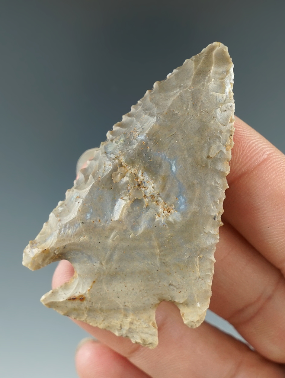 2 3/8" Lost Lake made from Hornstone, found in Logan Co., Kentucky. Davis COA.