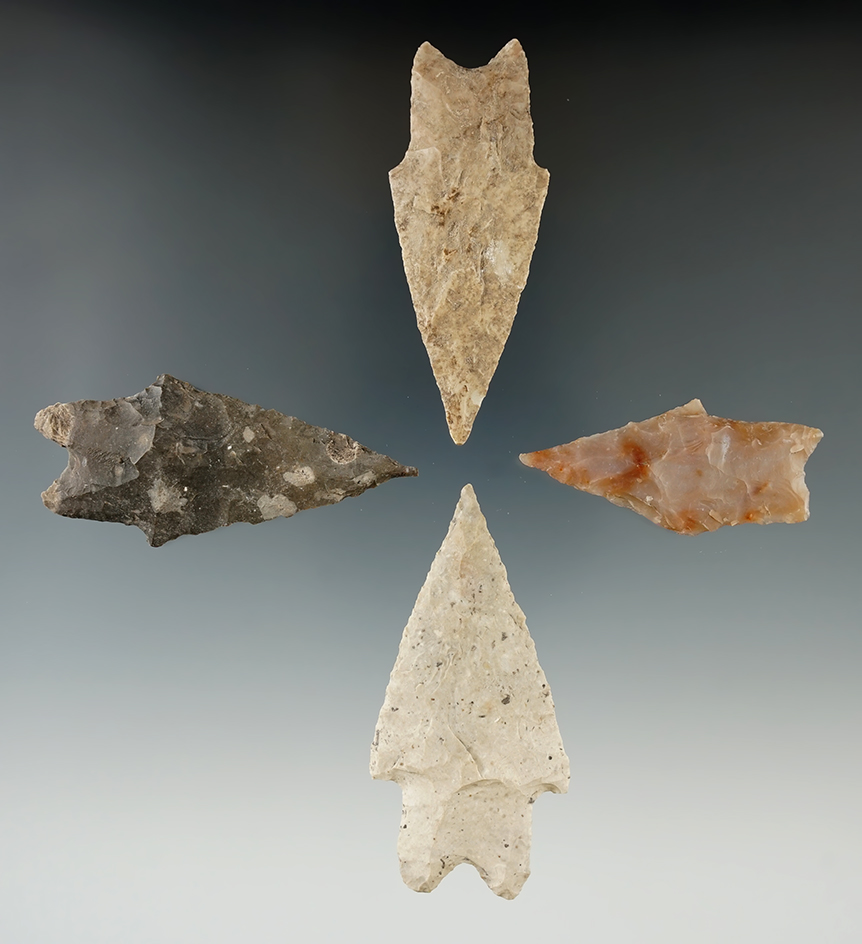 Ex. Museum! Set of 4 Pedernales Points found in Texas, largest is 2 5/8".
