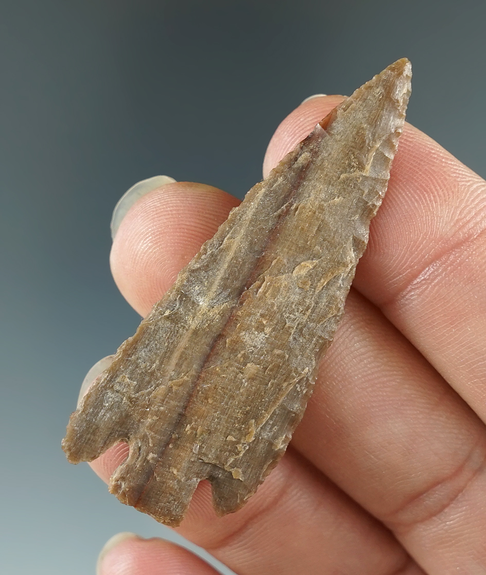 2" Eastgate made from beautiful Petrified Wood. Found near the Columbia River. Bennett COA.