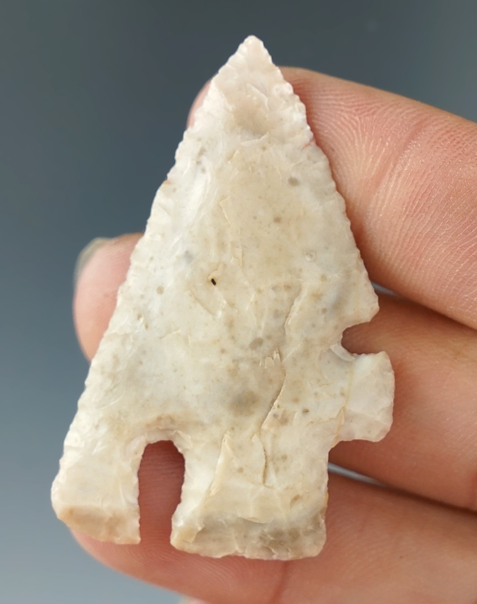 Classic style and excellent flaking on this 1 3/16" well-made Charcos point found in Texas.