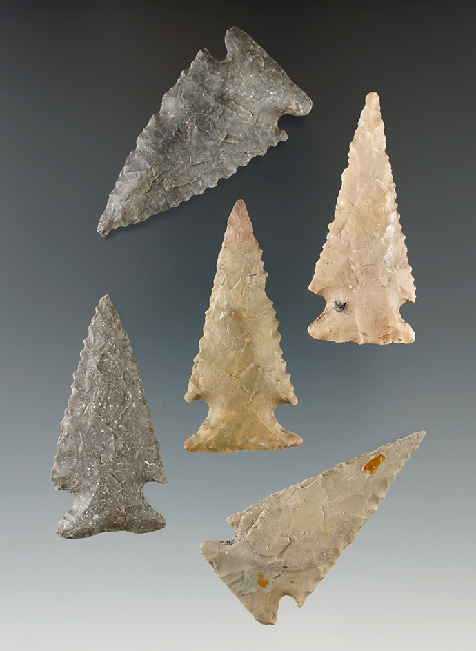 Ex. Museum! Group of 5 Ensors found in Texas, largest is 1 7/8".