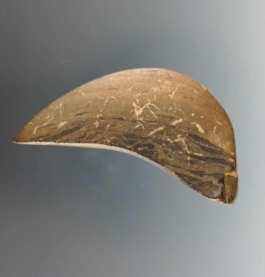 Anciently salvaged 2 3/16" Banded Slate Birdstone Head found in Indiana.