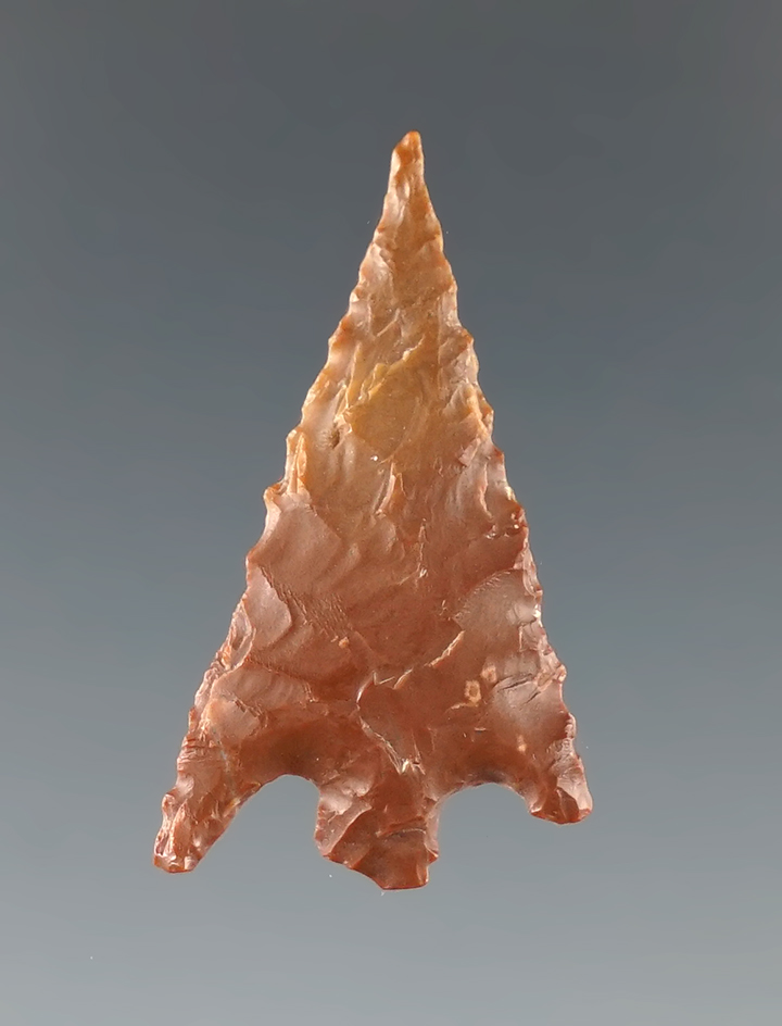 Ex. Museum! 1 1/8" Gunther Barbed from the Charles Shewey Collection.  Found in southern Oregon.