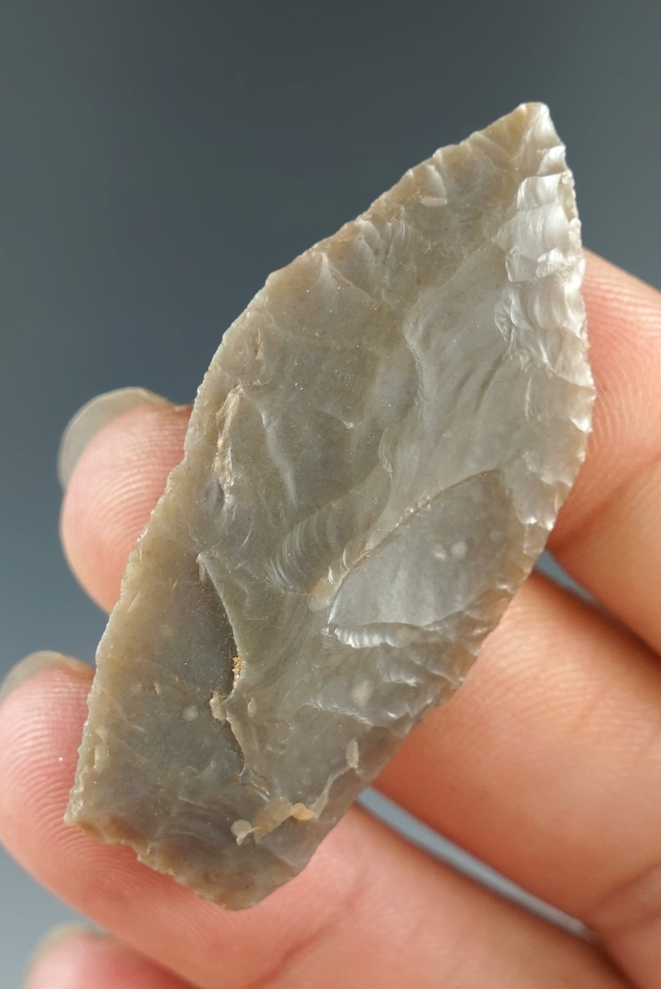 Thin and nicely flaked Lanceolate Dart Point found in Texas with burinated fracture to lower stem.