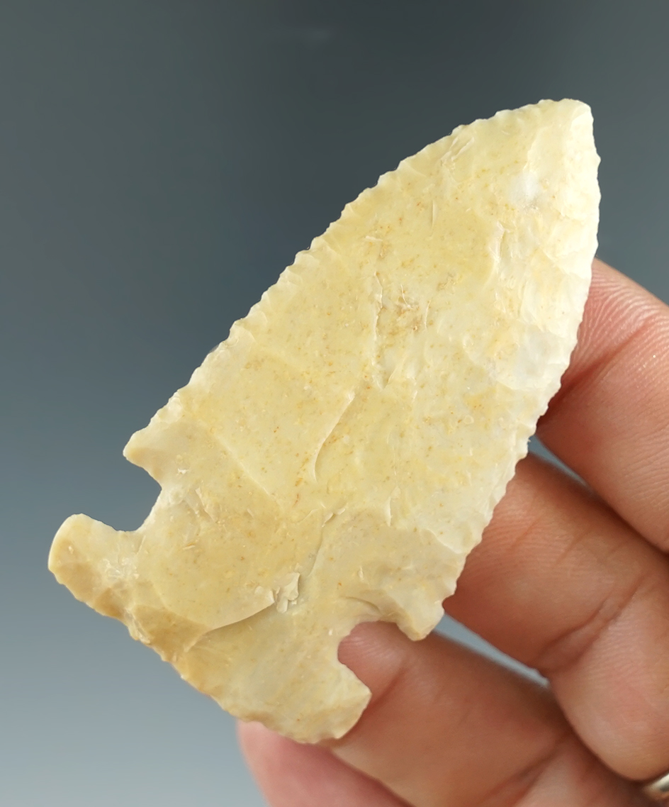 2 7/16" Burlington Chert Godar found in Western Missouri. Ex. Dan Peeler. Stermer COA.