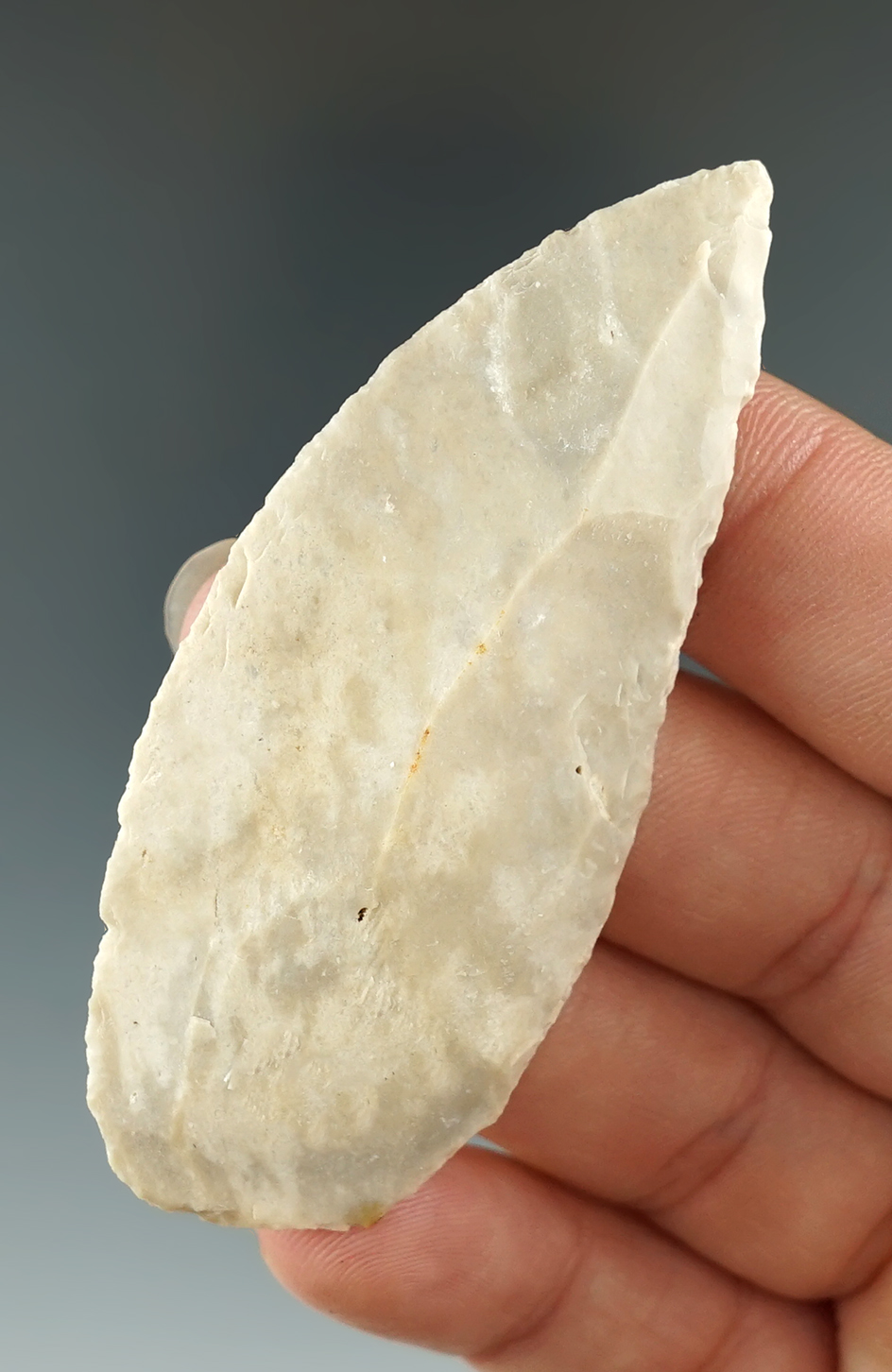 2 3/4" Knife found in the Temple, Texas area by Cas Jamroz.