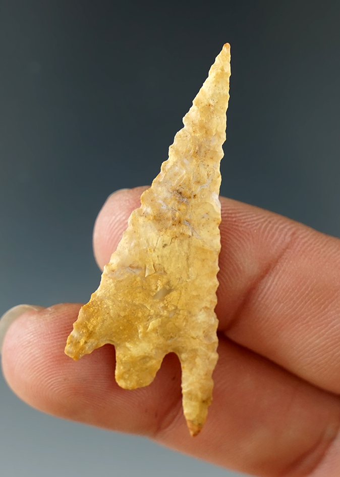 Ex. Museum! 1 7/8" Gunther that is heavily patinated, NO restoration to ear. Ex. Charles Shewey.