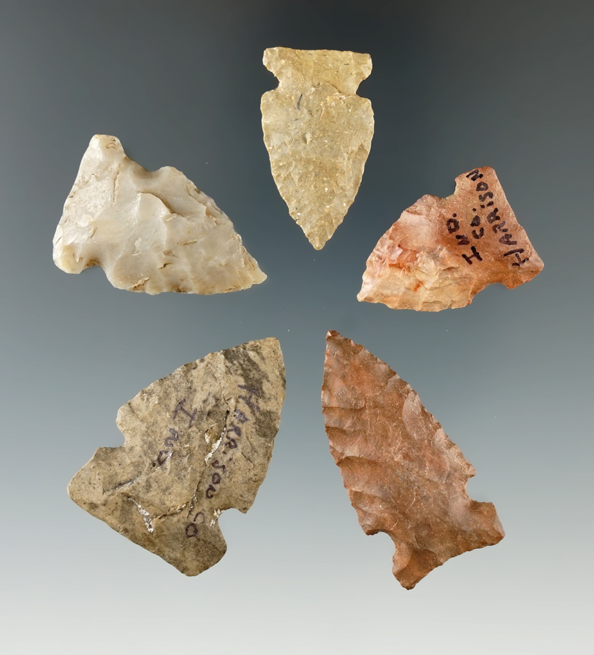 Set of five Sidenotch points found in Indiana, largest is 1 9/16".