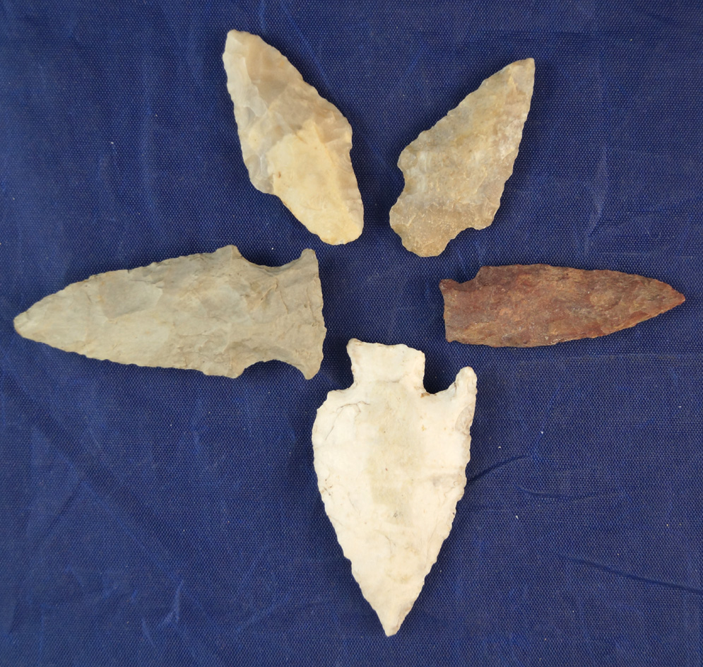 Set of five Midwestern ancient Indian Arrowheads, largest is 2 7/16".