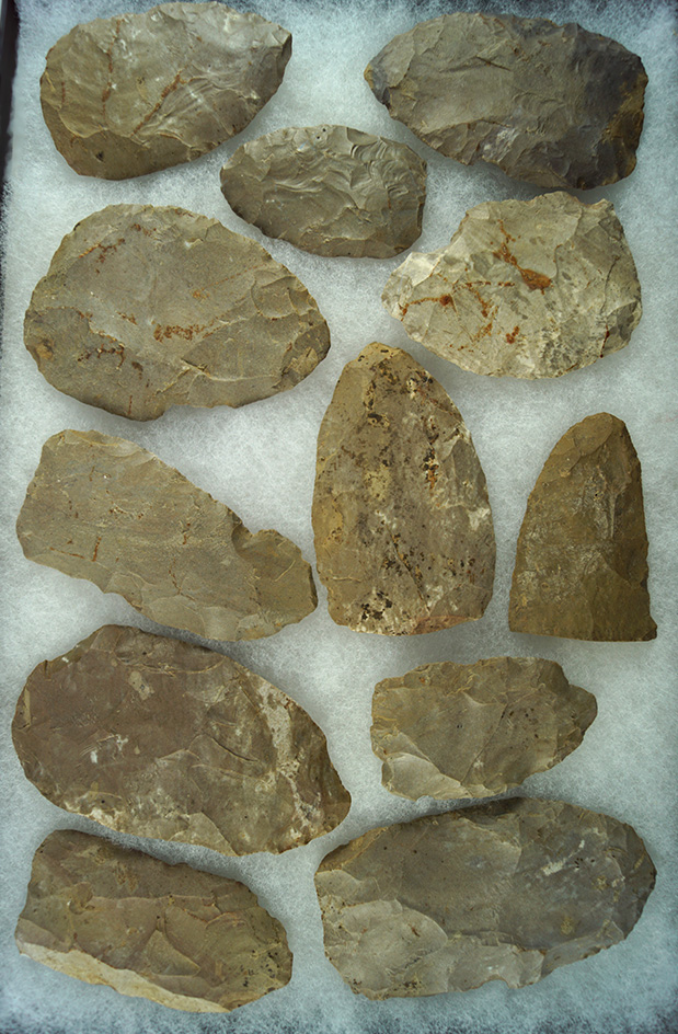 Cache of 12 Blades all found together in Marion Co.,  Kentucky. Largest is 3 3/4".