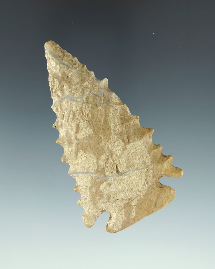 Heavily serrated 2 3/4" Pinetree found in Boone Co.,  Kentucky - Fort Payne chert. Bennett COA.