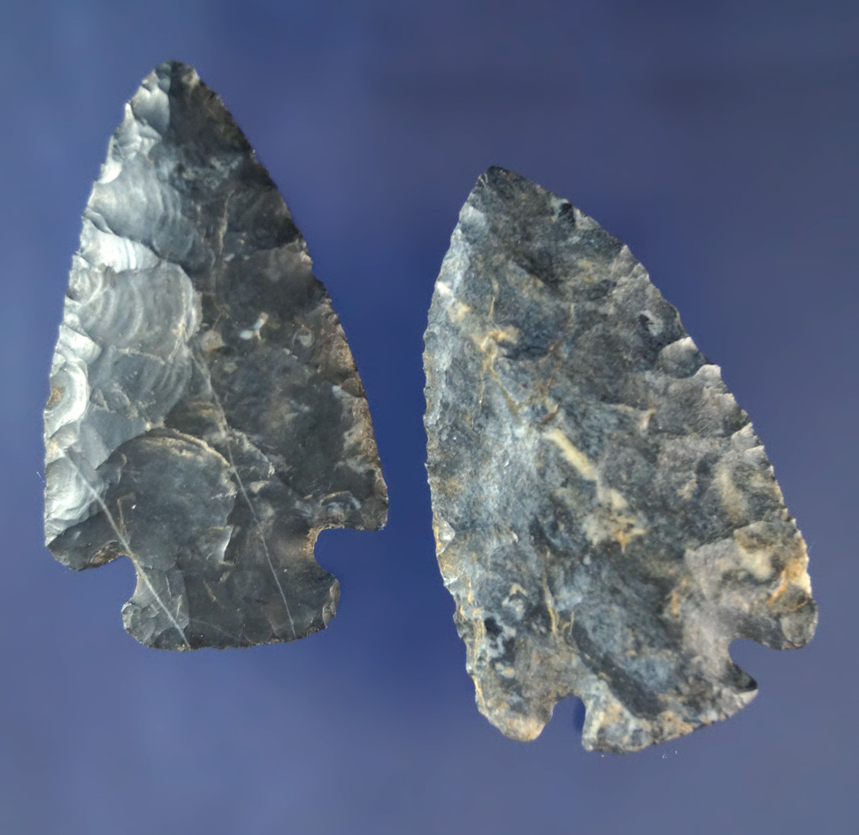 Nice pair of Coshocton Flint Arrowheads found in Ohio, largest is 2".