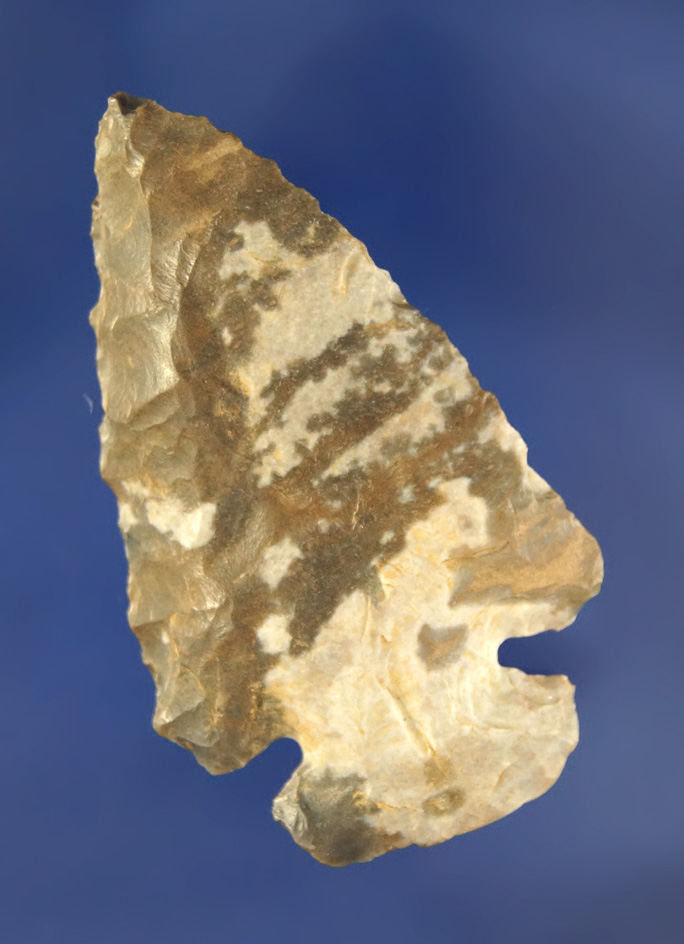 Beuatifully colored Archaic Dovetail found in Brown co., Ohio made from Ft. Payne chert.
