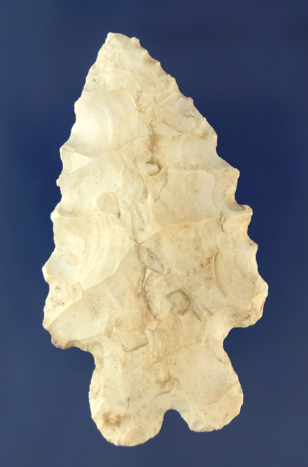 2 9/16" Bifurcate with nice serrations found in Ohio.