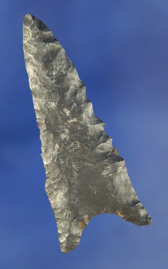 Rare type for Ohio! 2 3/8" Coshocton Flint Dalton  restored at the top found in Medina Co., Ohio.