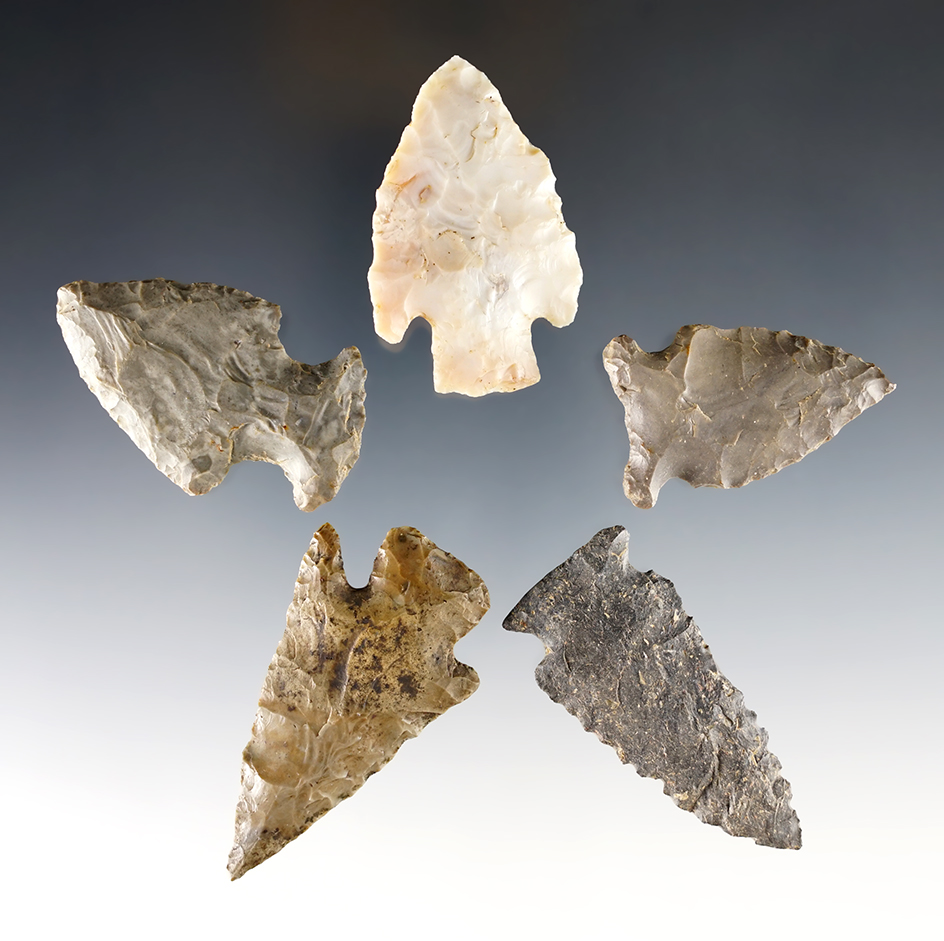Set of five points found in Ohio that are nicely flaked. Largest is 2 1/8".
