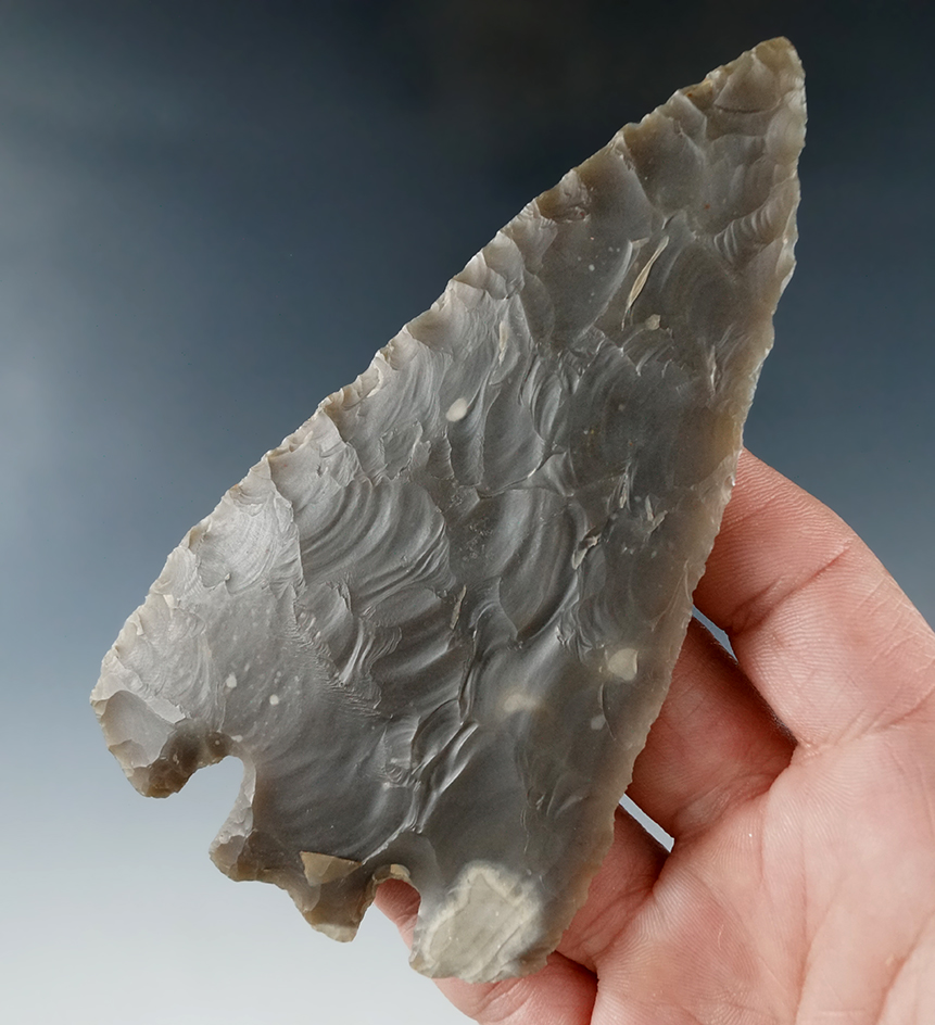 Exceptional! 4 9/16" Archaic Base Tang Knife found in Hill Co., Texas in excellent condition. COA.