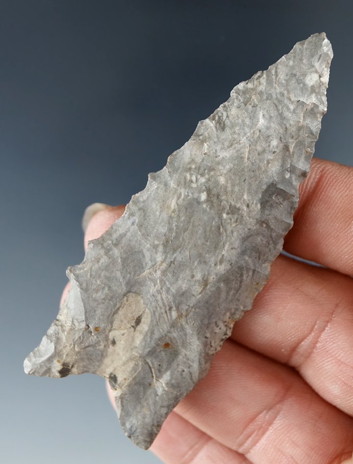 2 7/8" serrated Dalton made from Boone chert found in Osage Co., Missouri. Ex. Bill Bodine, Driskill