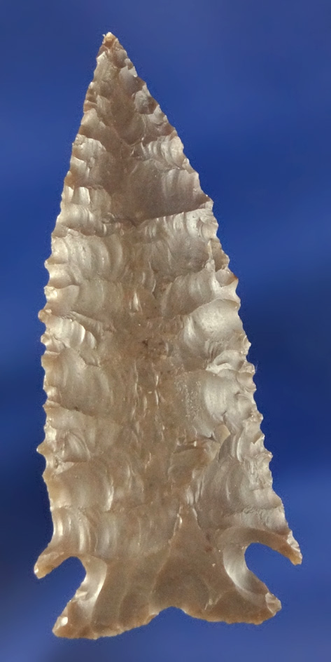 Excellent style, flaking and edge serrations on this 1 13/16" Elko eared found in Oregon.