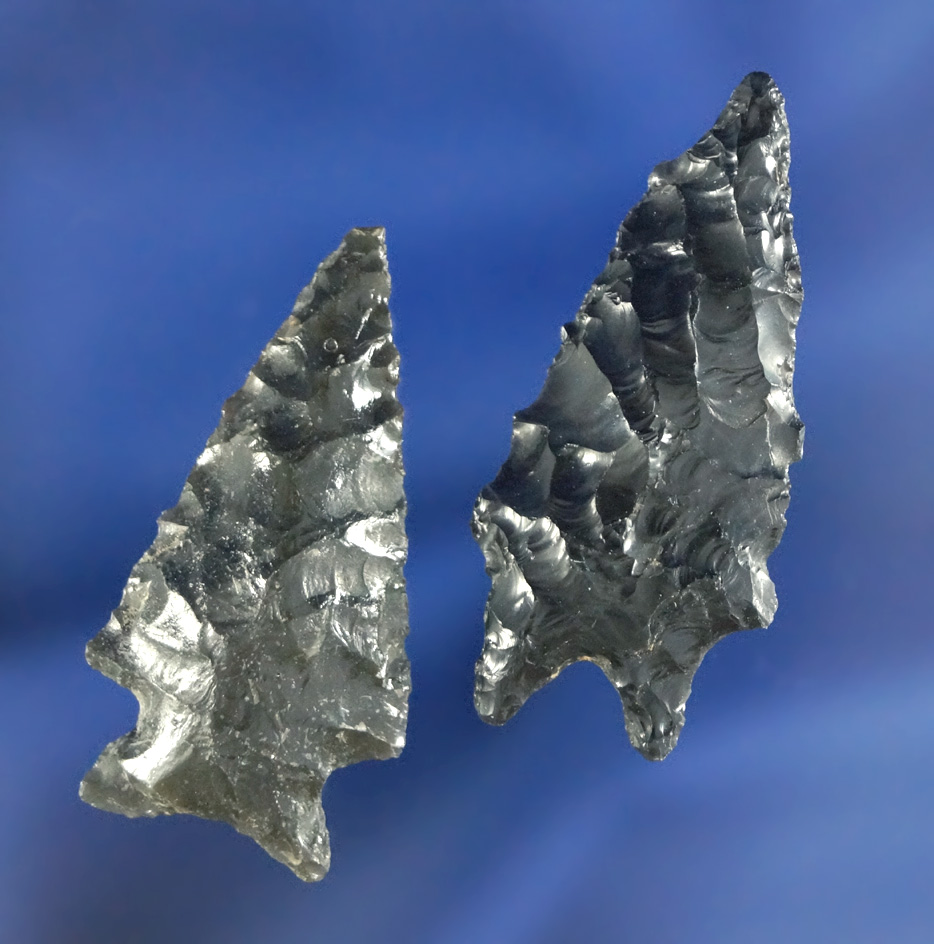 Pair of Obsidian arrowheads included in Elko and a Pinto Basin. Largest is 1 1/2".