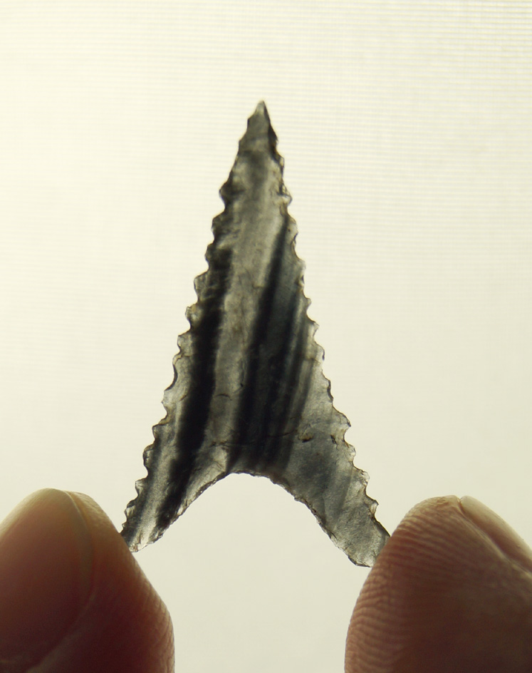 Incredibly well made 15/16" Obsidian Gunther Triangular with beautiful micro serrations