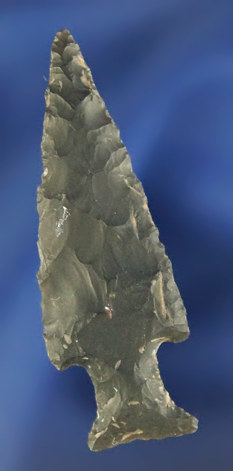 Nicely styled 1 11/16" Oregon Arrowhead in excellent condition.