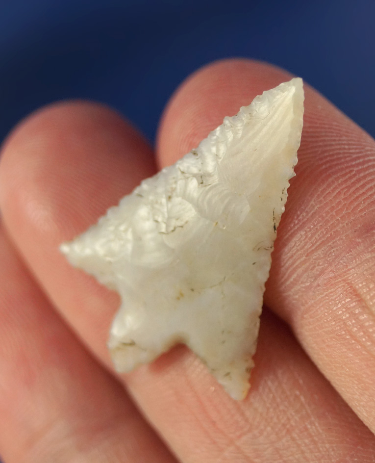 Thin with exceptional flaking! 1 1/8" Wallula - high grade white Chalcedony. Stermer COA.