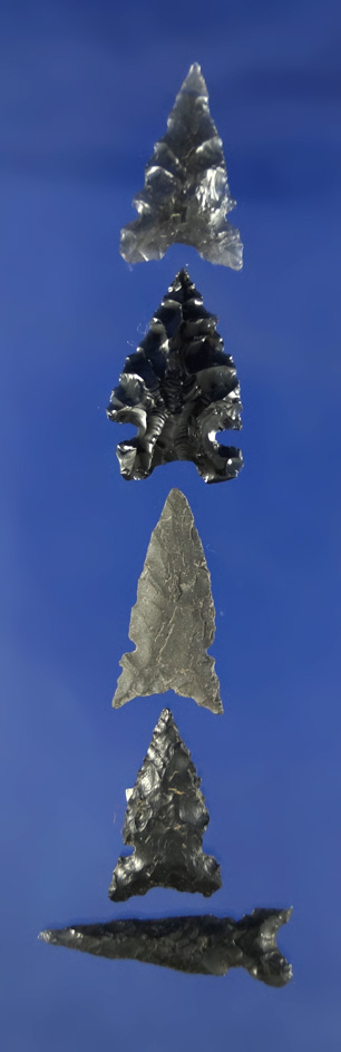 Set of five Obsidian arrowheads found in Oregon and Nevada, largest is 1 3/16".