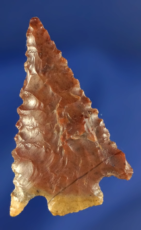 1 1/4" Hells Canyon Basal Notched made from attractive bi-colored Jasper. Ex. John Cockrell