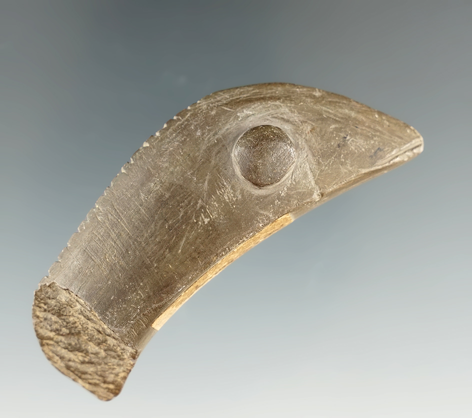 2 3/4" Tallied Birdstone Head found in Kentucky. The broken eyes have been reworked. COA.